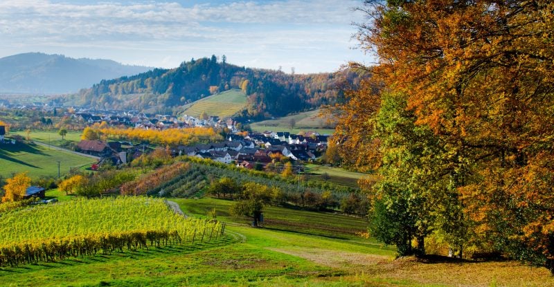 beautiful autumn scene in the Black Forest