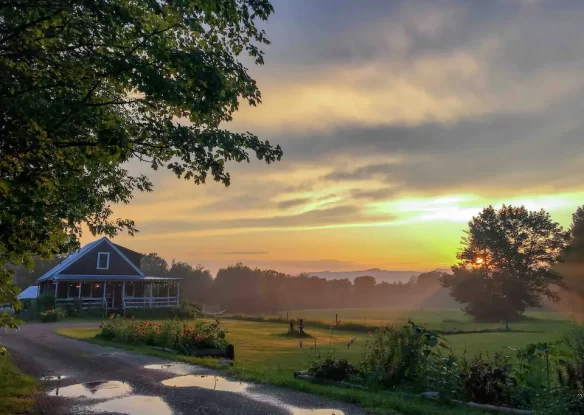 farmhouse at sunrise with wet driveway
